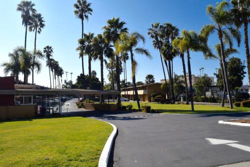 Hotel Palmeras Chula Vista allows 18 year olds to book a room in Chula Vista